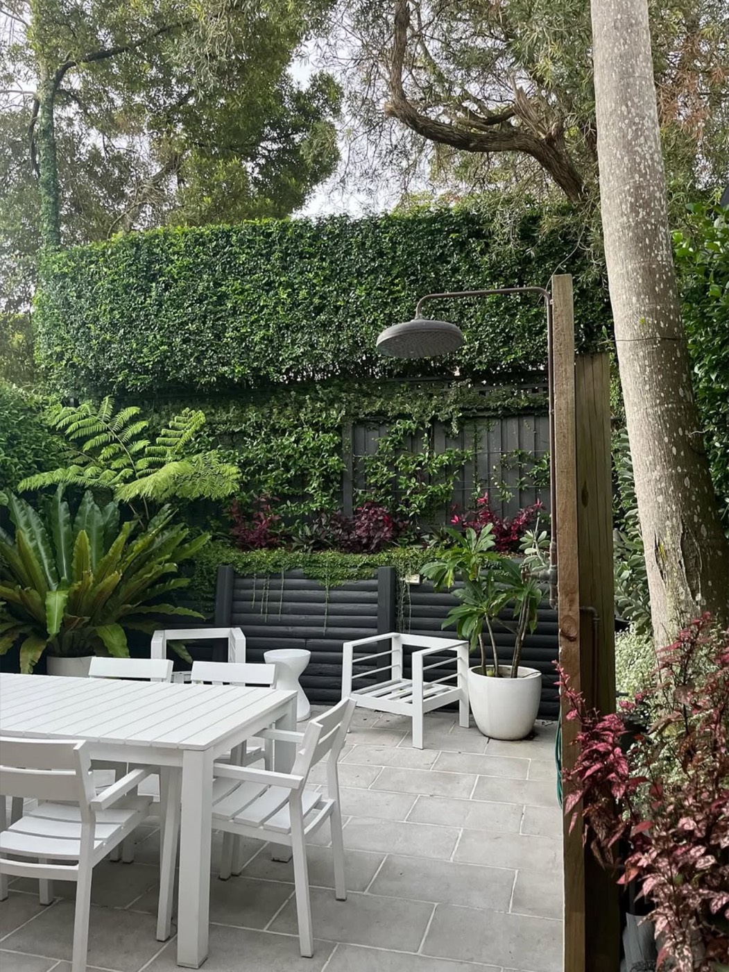 Clipped hedge wall above a paved courtyard with ferns and white outdoor furniture