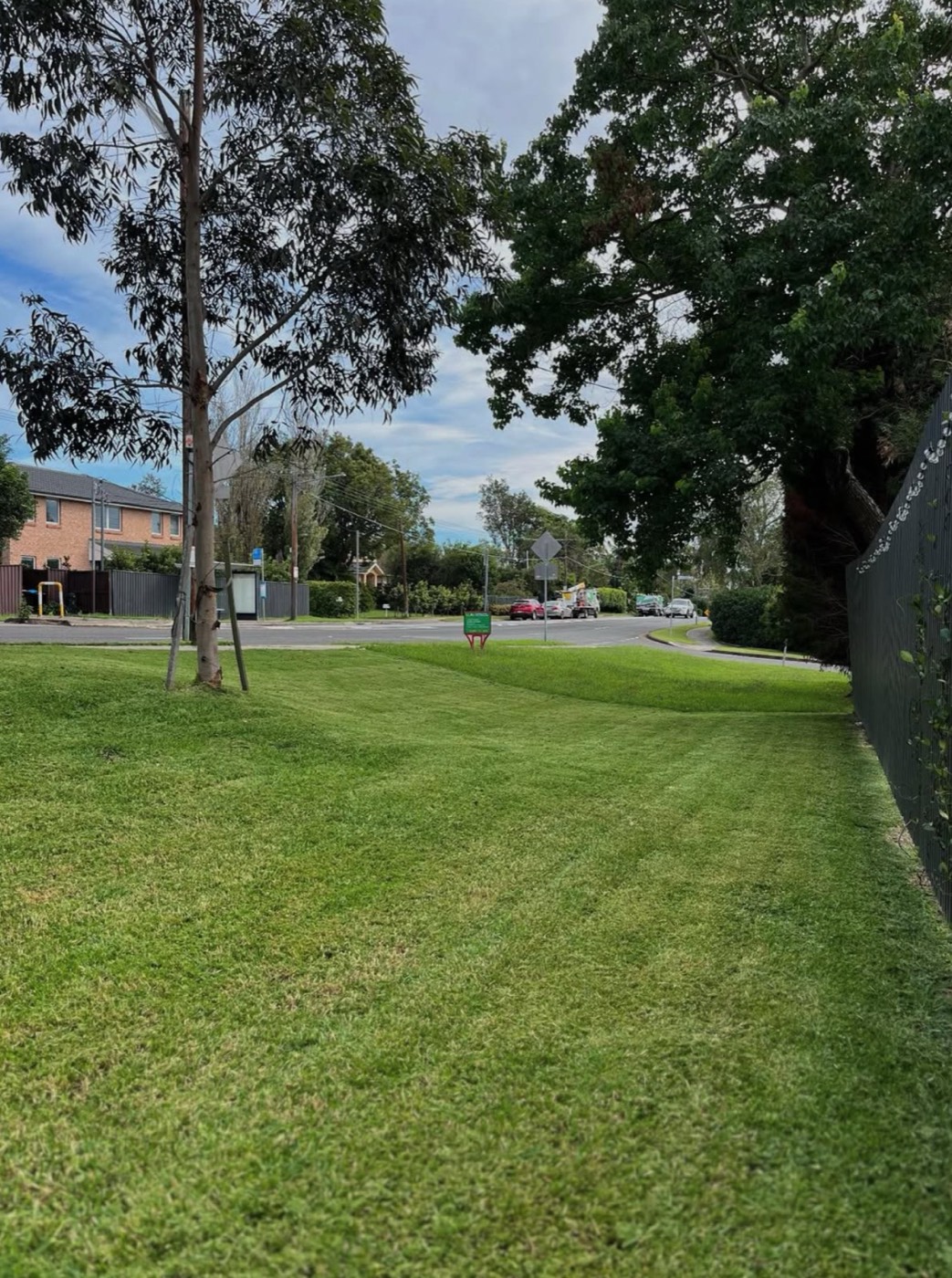 Freshly mown, striped grass verge beside a quiet Northern Beaches street